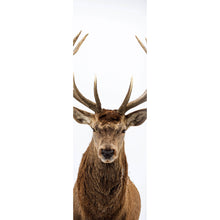 Lade das Bild in den Galerie-Viewer, Spannrahmenbild Hirsch auf Weiss Panorama Hoch