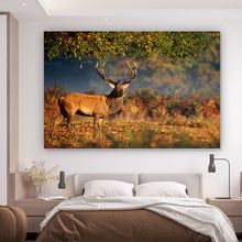 Lade das Bild in den Galerie-Viewer, Aluminiumbild Hirsch im Herbst Querformat