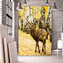 Lade das Bild in den Galerie-Viewer, Poster Hirsch im herbstlichen Wald Hochformat