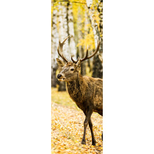 Lade das Bild in den Galerie-Viewer, Aluminiumbild gebürstet Hirsch im herbstlichen Wald Panorama Hoch