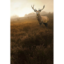 Lade das Bild in den Galerie-Viewer, Poster Hirsch im Nebel Hochformat