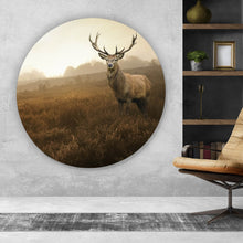 Lade das Bild in den Galerie-Viewer, Aluminiumbild Hirsch im Nebel Kreis