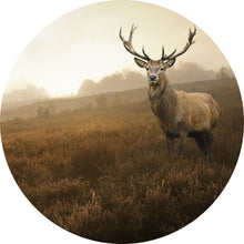 Lade das Bild in den Galerie-Viewer, Aluminiumbild Hirsch im Nebel Kreis