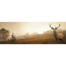 Lade das Bild in den Galerie-Viewer, Leinwandbild Hirsch im Nebel Panorama