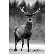 Lade das Bild in den Galerie-Viewer, Aluminiumbild gebürstet Hirsch im Schottischen Winter Hochformat