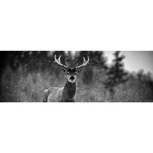 Lade das Bild in den Galerie-Viewer, Aluminiumbild Hirsch im Schottischen Winter Panorama