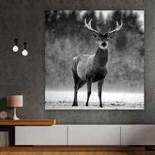 Lade das Bild in den Galerie-Viewer, Leinwandbild Hirsch im Schottischen Winter Quadrat