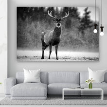 Lade das Bild in den Galerie-Viewer, Acrylglasbild Hirsch im Schottischen Winter Querformat
