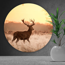 Lade das Bild in den Galerie-Viewer, Aluminiumbild gebürstet Hirsch im Sonnenuntergang Kreis