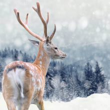 Lade das Bild in den Galerie-Viewer, Poster Hirsch im Winter Quadrat