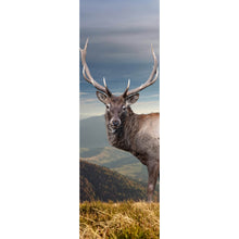 Lade das Bild in den Galerie-Viewer, Leinwandbild Hirsch in der Herbstzeit Panorama Hoch