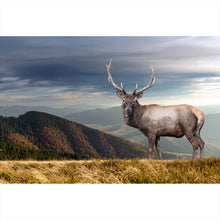 Lade das Bild in den Galerie-Viewer, Aluminiumbild Hirsch in der Herbstzeit Querformat