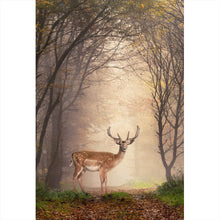 Lade das Bild in den Galerie-Viewer, Poster Hirsch in verträumten Nebelwald Hochformat