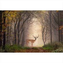 Lade das Bild in den Galerie-Viewer, Aluminiumbild gebürstet Hirsch in verträumten Nebelwald Querformat