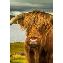 Lade das Bild in den Galerie-Viewer, Leinwandbild Hochland Rind am See Hochformat