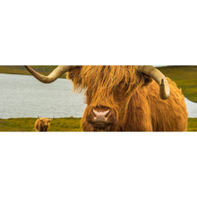 Lade das Bild in den Galerie-Viewer, Spannrahmenbild Hochland Rind am See Panorama