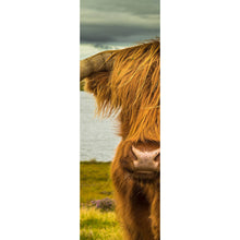 Lade das Bild in den Galerie-Viewer, Poster Hochland Rind am See Panorama Hoch