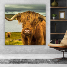 Lade das Bild in den Galerie-Viewer, Poster Hochland Rind am See Quadrat