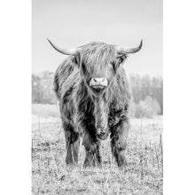 Lade das Bild in den Galerie-Viewer, Leinwandbild Hochland Rind Schwarz Weiß Hochformat