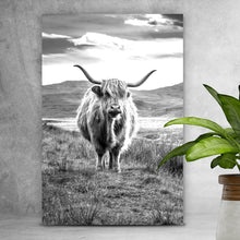 Lade das Bild in den Galerie-Viewer, Aluminiumbild Schottisches Hochlandrind Hochformat