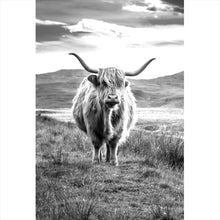Lade das Bild in den Galerie-Viewer, Spannrahmenbild Schottisches Hochlandrind Hochformat
