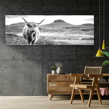 Lade das Bild in den Galerie-Viewer, Leinwandbild Schottisches Hochlandrind Panorama