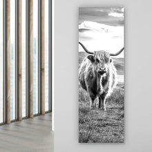 Lade das Bild in den Galerie-Viewer, Spannrahmenbild Schottisches Hochlandrind Panorama Hoch