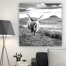 Lade das Bild in den Galerie-Viewer, Leinwandbild Schottisches Hochlandrind Quadrat