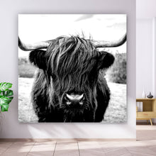 Lade das Bild in den Galerie-Viewer, Acrylglasbild Hochlandrind auf der Wiese Quadrat