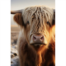 Lade das Bild in den Galerie-Viewer, Aluminiumbild Hochlandrind auf gefrorener Weide Hochformat