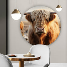 Lade das Bild in den Galerie-Viewer, Aluminiumbild gebürstet Hochlandrind auf gefrorener Weide Kreis