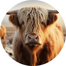 Lade das Bild in den Galerie-Viewer, Aluminiumbild gebürstet Hochlandrind auf gefrorener Weide Kreis