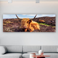Lade das Bild in den Galerie-Viewer, Aluminiumbild gebürstet Hochlandrind auf Halbinsel Panorama