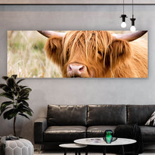 Lade das Bild in den Galerie-Viewer, Aluminiumbild Hochlandrind im Feld Panorama