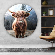 Lade das Bild in den Galerie-Viewer, Aluminiumbild gebürstet Hochlandrind im Tal Kreis