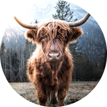 Lade das Bild in den Galerie-Viewer, Aluminiumbild gebürstet Hochlandrind im Tal Kreis