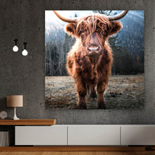 Lade das Bild in den Galerie-Viewer, Poster Hochlandrind im Tal Quadrat