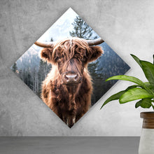 Lade das Bild in den Galerie-Viewer, Poster Hochlandrind im Tal Raute