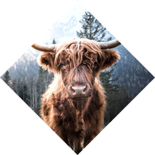 Lade das Bild in den Galerie-Viewer, Poster Hochlandrind im Tal Raute