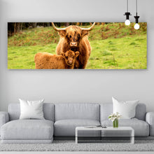 Lade das Bild in den Galerie-Viewer, Aluminiumbild gebürstet Hochlandrind mit Kalb Panorama
