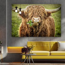 Lade das Bild in den Galerie-Viewer, Poster Hochlandrind mit Nasenring Querformat