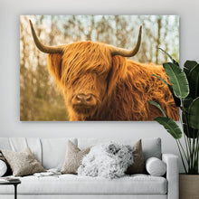 Lade das Bild in den Galerie-Viewer, Spannrahmenbild Hochlandrind Rotbraun Querformat