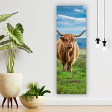Lade das Bild in den Galerie-Viewer, Leinwandbild Hochlandrind Schottland Panorama Hoch