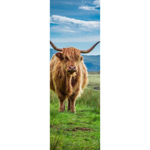 Lade das Bild in den Galerie-Viewer, Leinwandbild Hochlandrind Schottland Panorama Hoch