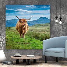 Lade das Bild in den Galerie-Viewer, Poster Hochlandrind Schottland Quadrat