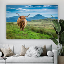 Lade das Bild in den Galerie-Viewer, Poster Hochlandrind Schottland Querformat