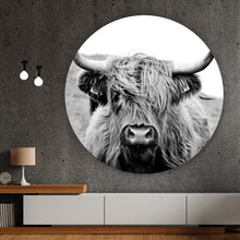 Lade das Bild in den Galerie-Viewer, Aluminiumbild gebürstet Hochlandrind Schwarz Weiß Kreis