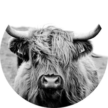 Lade das Bild in den Galerie-Viewer, Aluminiumbild gebürstet Hochlandrind Schwarz Weiß Kreis