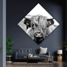 Lade das Bild in den Galerie-Viewer, Poster Hochlandrind Schwarz Weiß Raute