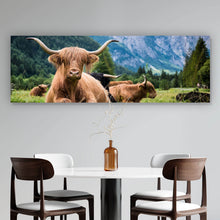 Lade das Bild in den Galerie-Viewer, Aluminiumbild Hochlandrinder Herde Panorama